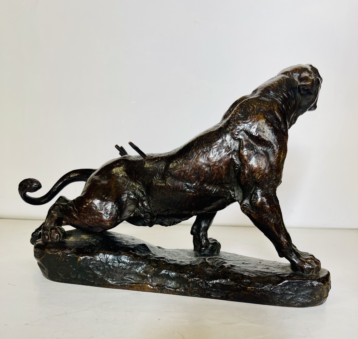Lionne blessée - Charles VALTON-photo-2